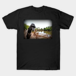 Emu Photobomb T-Shirt